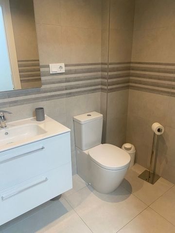 Nice apartment with south facing terrace  - Spain Penthouses