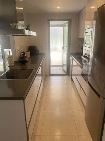 Nice apartment with south facing terrace  - Spain Penthouses