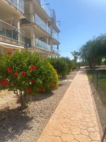 Nice apartment with south facing terrace  - Spain Penthouses